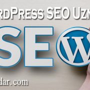 WordPress SEO Uzmanı, wordpress seo uzmani, wordpress seo danışmanı