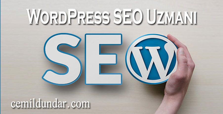 WordPress SEO Uzmanı, wordpress seo uzmani, wordpress seo danışmanı
